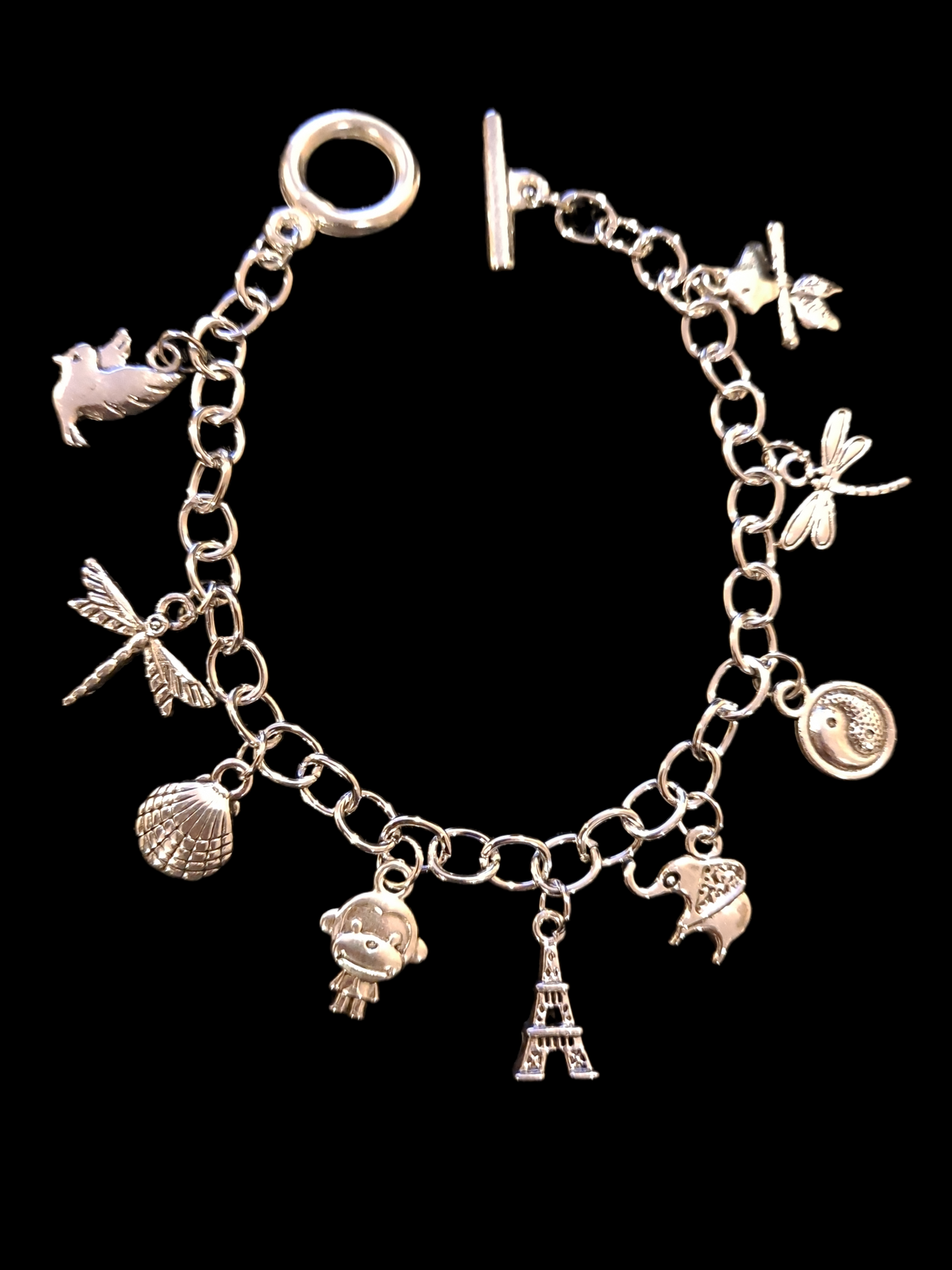 Fashion stanley steel charms bracelets for women.