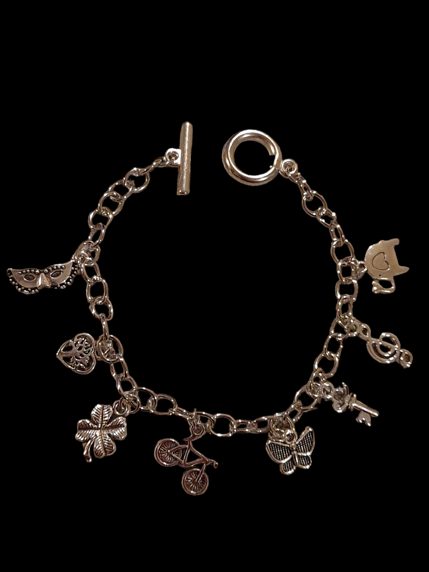 Fashion stanley steel charms bracelets for women.